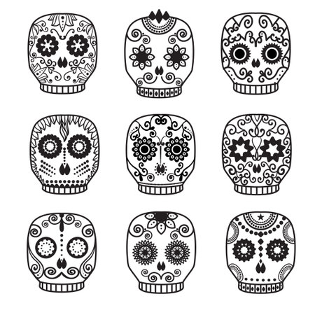 Sugar skull vector set. Day of the dead skull design.のイラスト素材