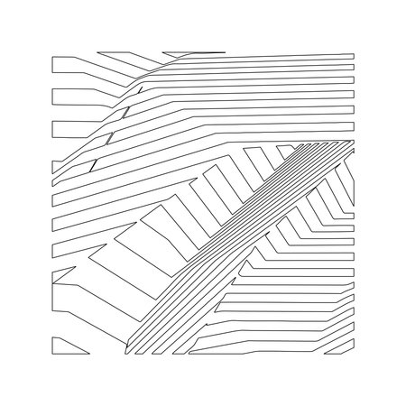 black and white patterns from lines. striped background.のイラスト素材