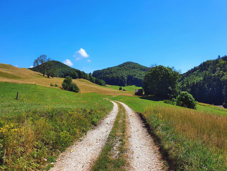 Summer rural landscape with a dirt road on the grassy hillsideの写真素材
