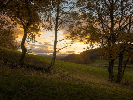 Sunset in the autumn mountains. Beautiful landscape with trees and grassの写真素材