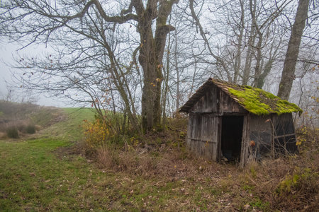 Old wooden house in the middle of a foggy meadow in winterの写真素材