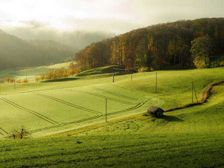 Beautiful morning in the mountains. Carpathian, Ukraine, Europe.の写真素材