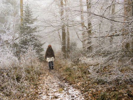A woman walks on a path in the forest covered with snow.の写真素材