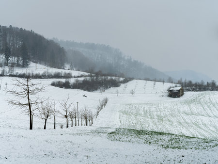 Winter landscape with snow covered fields and pastures in Switzerland, Europeの写真素材
