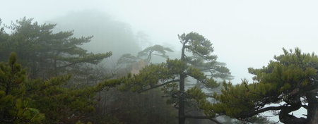   Huangshan mountain scenery                             の写真素材