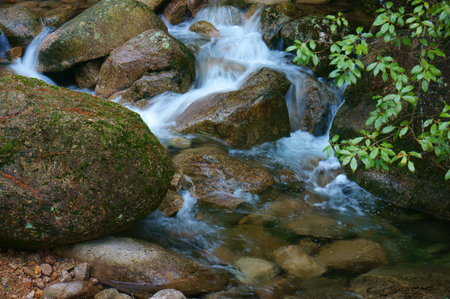    Huangshan mountain scenery                            の写真素材