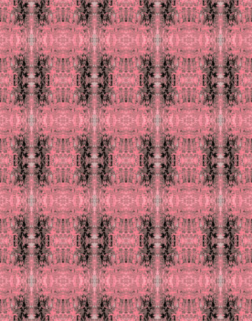 Black and Coral Patternの写真素材