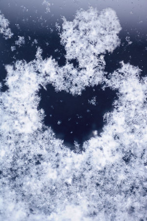 It is a snowy hart.の写真素材