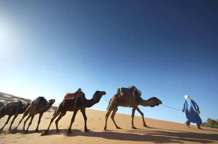 Camel caravan walking over sand dune at Camel caravan walking over sand dune at