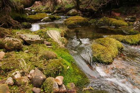 One of the small streams an Dartmoorの写真素材