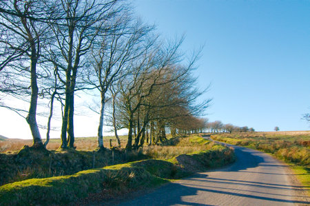 Road crossing the moors at Exmoorの写真素材