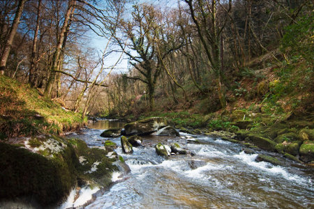 One of the small streams an Dartmoorの写真素材
