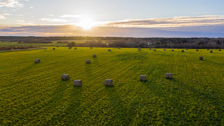 bales of hay lie on a field against the backdrop of a colorful autumn sunset