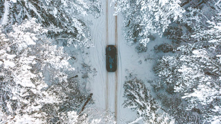 a car makes its way in winter along a snow-covered forest road surrounded by pine trees, aerial...