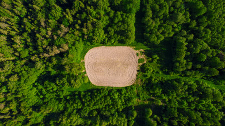 An enigmatic circle in the middle of the forest. Sand glade for extreme skiing.の写真素材