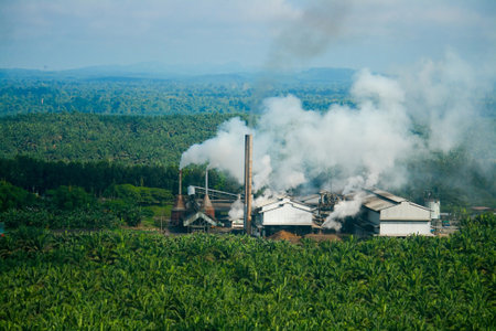 Palm oil mill within oil palm plantationのeditorial素材