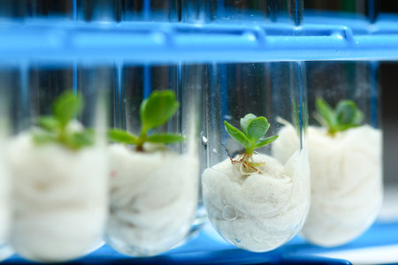 Plant biotechnologyの写真素材