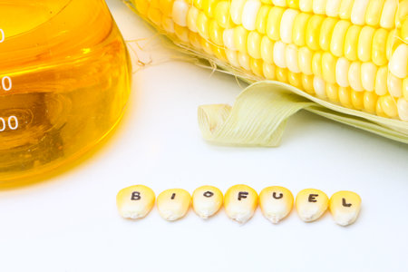 Biofuel from cornの写真素材
