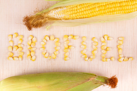 Corn biofuel with maize