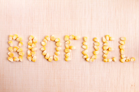 Biofuel word using corn grainsの写真素材