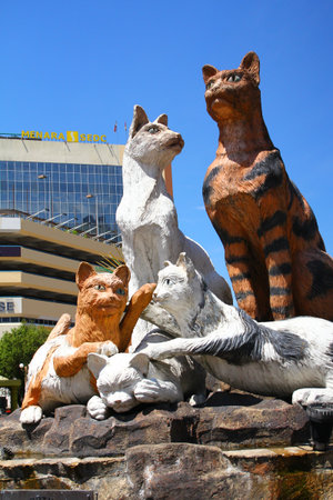 Cat statues in Kuching city Sarawak Malaysiaのeditorial素材