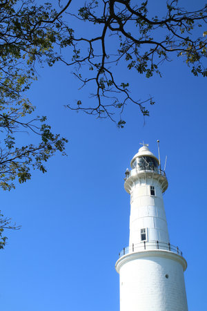 White lighthouse with tree canopy against blue sky backgrondの写真素材