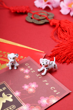 Miniature dogs with chinese new year angpow red packetsの写真素材