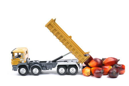 Toy truck dumping oil palm fruitletsの写真素材