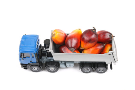 Toy truck carrying oil palm fruitletsの写真素材