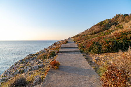 path to the sea or beachの写真素材