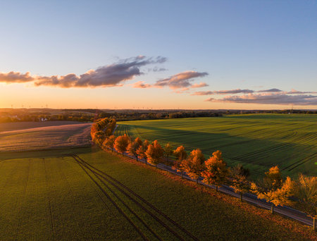Aerial view on the railway tracks through the fields at sunset.の写真素材