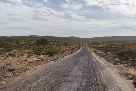 Desert road in the Karoo National Park, South Africa.の写真素材