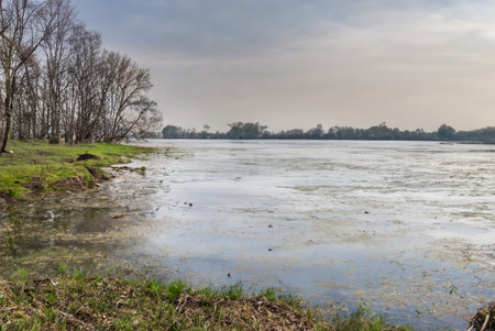 Landscape with river and trees in early spring. Ukraine, Europe