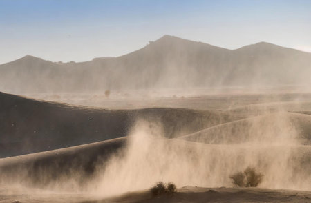 Landscape of the Sahara desert at sunset, Morocco. Africa.