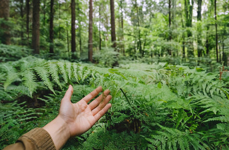 A man's hand is touching a green fern in the forest.