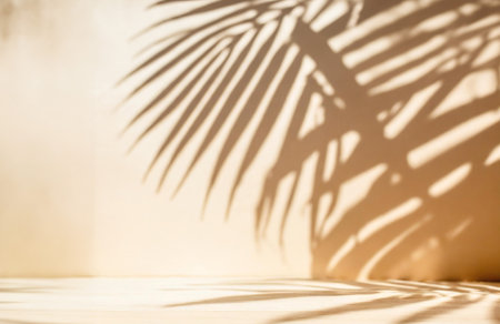 Shadow of palm leaf on white wall background. Natural summer concept.の写真素材