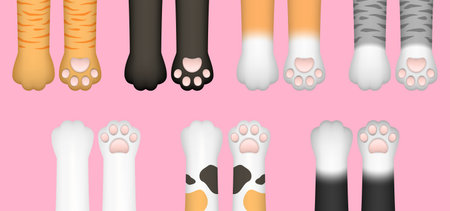 3D realistic multi-colored cat paws, legs, dog paws, kitten footprint set isolated on pink background. Vector illustration for domestic animal, pet concept.のイラスト素材