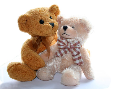 two teddy bears on white backgroundの写真素材