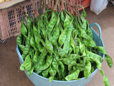 Vegetables Fruit and thailandの写真素材