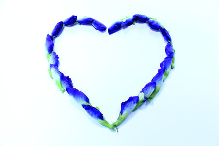 Pea flowers are heart shaped の写真素材