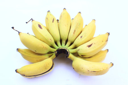 Cultivated banana in Thailandの写真素材