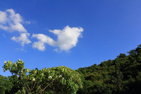 Blue sky and white clouds near the hill in Thailand の写真素材
