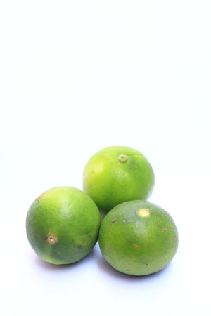 Lemon green white backgroundの写真素材