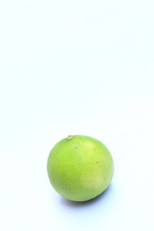 Lemon green white backgroundの写真素材