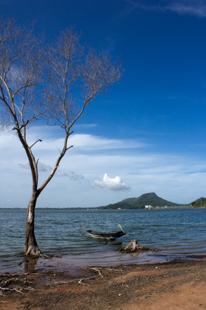 Tree of reservoirs in Thailandの写真素材