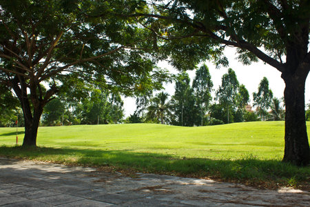 A green lawn in the parkの写真素材