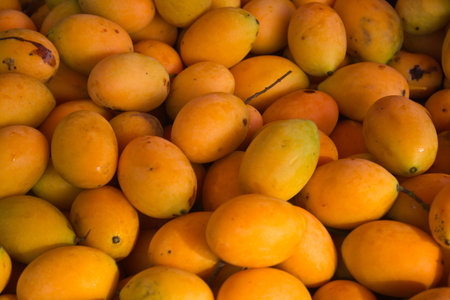 Maprang fruit of Thailand