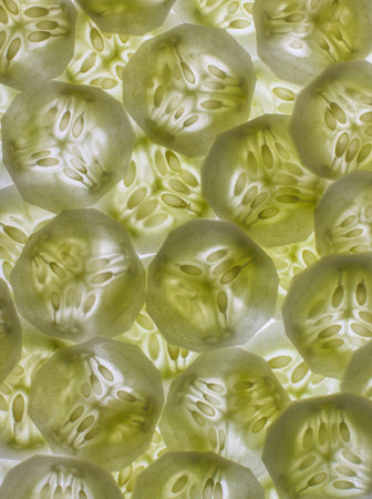 Cucumber slicedの写真素材
