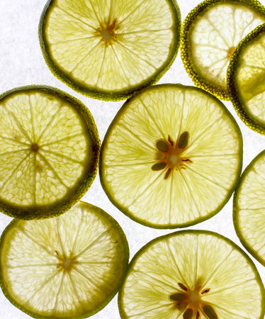 Some lime slices on whiteの写真素材