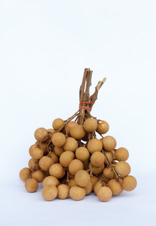 longan isolated in white background